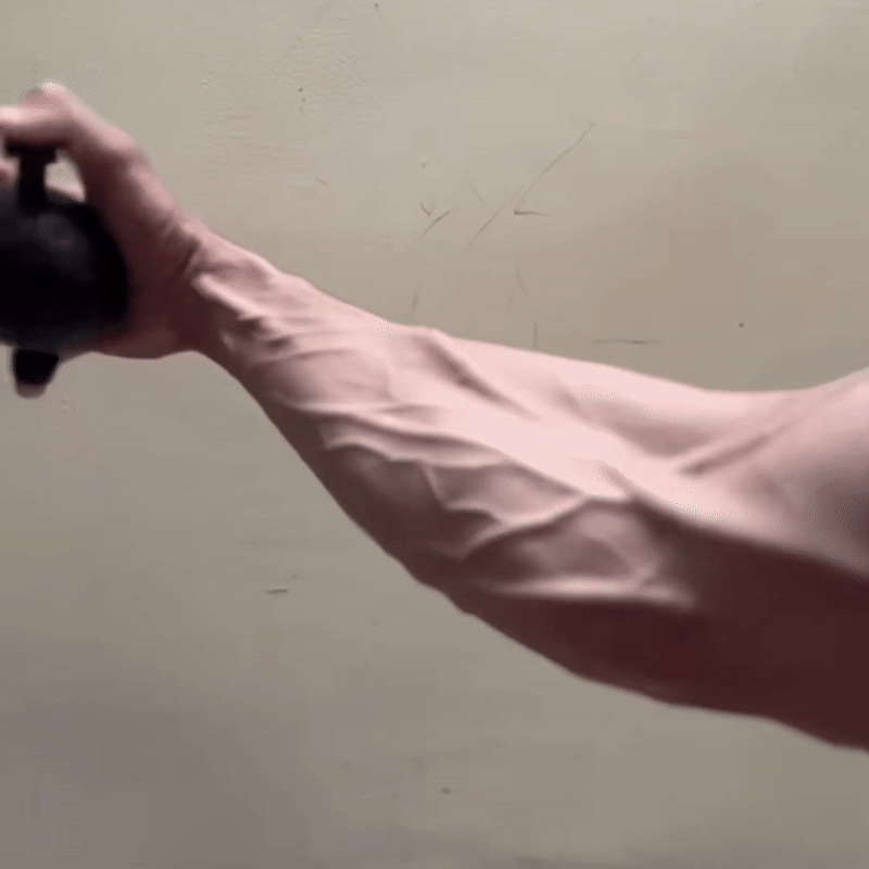 VENIX Unterarmtrainer