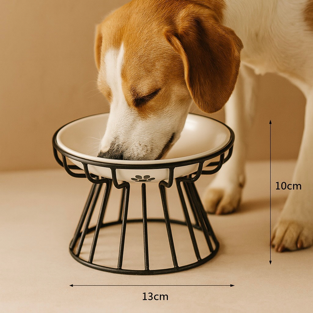 Lypsu - Pet Bowl