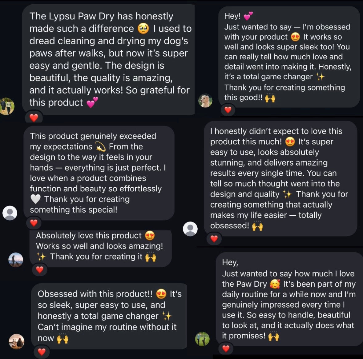 Lypsu - Pet Hair Dryer