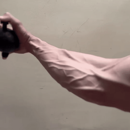 VENIX Unterarmtrainer